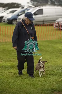 Scruffts 2024 Prints: Scruffts Family Crossbreed of the Year competition All About Dogs Cornwall