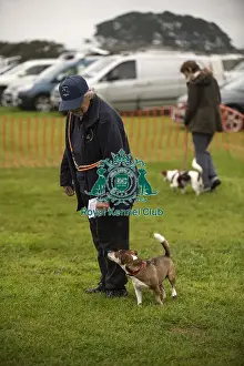 Scruffts 2024 Prints: Scruffts Family Crossbreed of the Year competition All About Dogs Cornwall