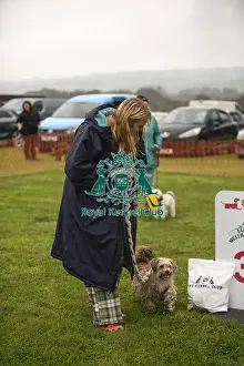 Cornwall Prints: Scruffts Family Crossbreed of the Year competition All About Dogs Cornwall