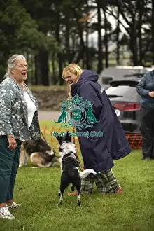 Scruffts Family Crossbreed of the Year competition All About Dogs Cornwall