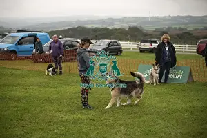 Scruffts Prints: Scruffts Family Crossbreed of the Year competition All About Dogs Cornwall