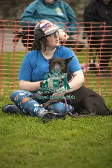 Scruffts Prints: Scruffts Family Crossbreed of the Year competition All About Dogs Cornwall