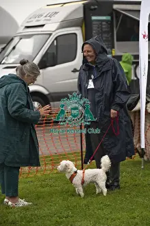 Scruffts Prints: Scruffts Family Crossbreed of the Year competition All About Dogs Cornwall