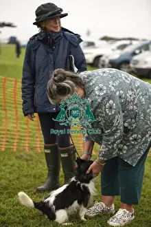 Scruffts Prints: Scruffts Family Crossbreed of the Year competition All About Dogs Cornwall