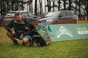 Scruffts Prints: Scruffts Family Crossbreed of the Year competition All About Dogs Cornwall