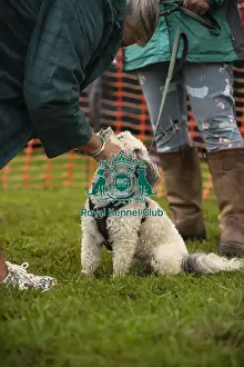 Scruffts Prints: Scruffts Family Crossbreed of the Year competition All About Dogs Cornwall