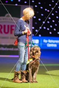 Scruffts Final