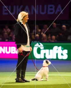 Scruffts Final