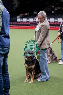 Crufts 2026 Main Arena Prints: Scruffts final