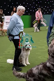 Crufts 2026 Main Arena Prints: Scruffts final