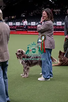 Crufts 2026 Main Arena Prints: Scruffts final