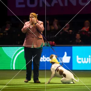 Scruffts Final - winner