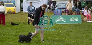 Scruffts 2023 Hyland Park Prints: Scruffts Hylands Park