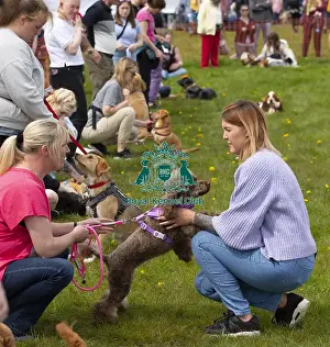 Scruffts 2023 Hyland Park Prints: Scruffts Hylands Park