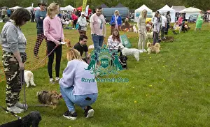 Scruffts 2023 Hyland Park Prints: Scruffts Hylands Park