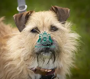 Scruffts Hylands Park
