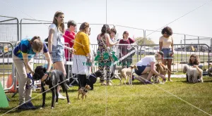 Scruffts Newark 2019