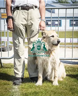 Scruffts Newark 2019