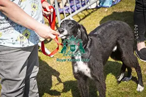 Scruffts Newark 2019