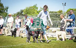 Scruffts Newark 2019