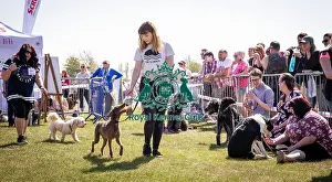 Scruffts Newark 2019