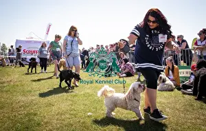 Scruffts Newark 2019