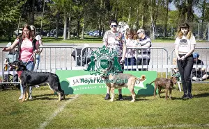 Scruffts Newark 2019