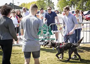 Scruffts Newark 2019