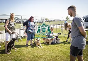 Scruffts Newark 2019