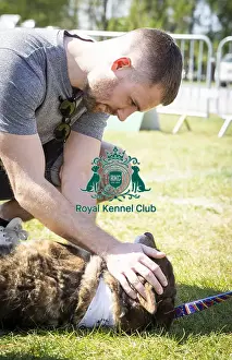 Scruffts Newark 2019