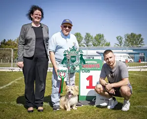 Scruffts Newark 2019