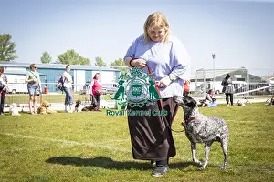 Scruffts Newark 2019