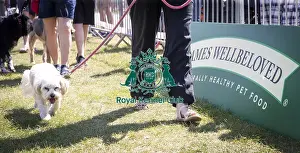 Scruffts Newark 2019