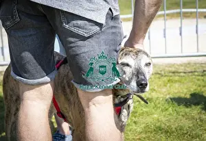Scruffts Newark 2019
