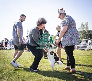 Scruffts Newark 2019