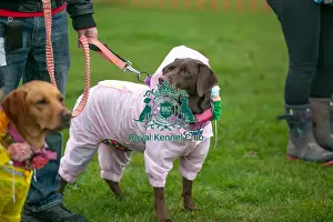 Scruffts Newark 23rd April 2023