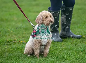 Scruffts Newark 23rd April 2023