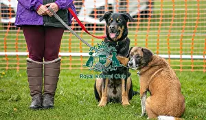 Scruffts Newark 23rd April 2023