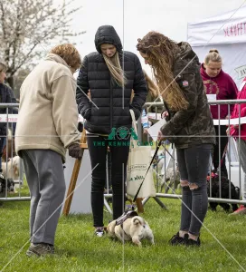 Scruffts Newbury 2019