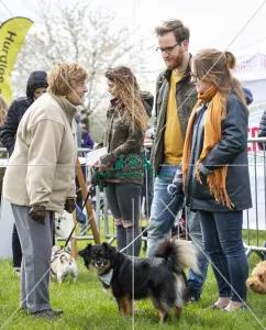 Scruffts Newbury 2019