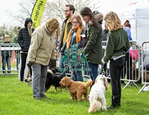 Scruffts Newbury 2019