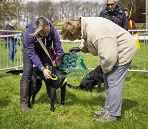 Scruffts Newbury 2019