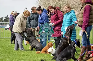 Scruffts Newbury 2019