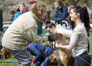 Scruffts Newbury 2019