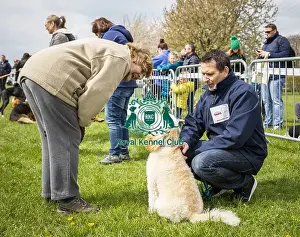 Scruffts Newbury 2019