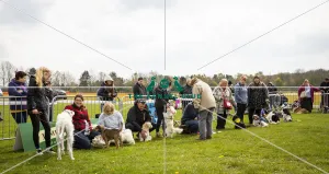 Scruffts Newbury 2019