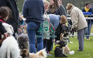 Scruffts Newbury 2019