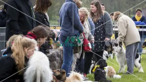 Scruffts Newbury 2019