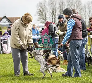 Scruffts Newbury 2019