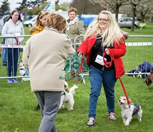 Scruffts Newbury 2019